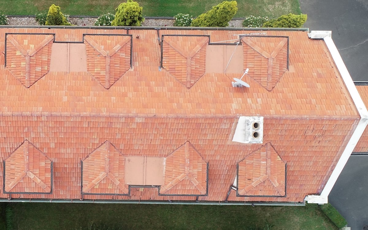 Roof After Treatment